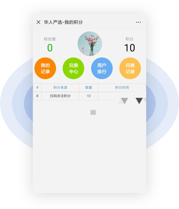 积分记录